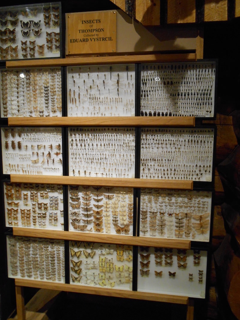 Stacks Image 847