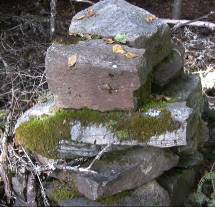 Stacks Image 647