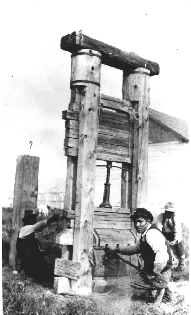 Stacks Image 1779